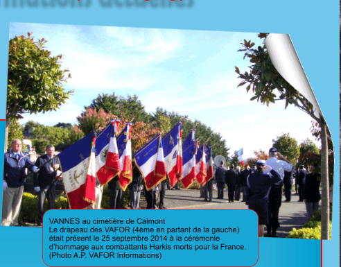 VANNES au cimetière de Calmont Le drapeau des VAFOR (4ème en partant de la gauche) était présent le 25 septembre 2014 à la cérémonie d’hommage aux combattants Harkis morts pour la France. (Photo A.P. VAFOR Informations)